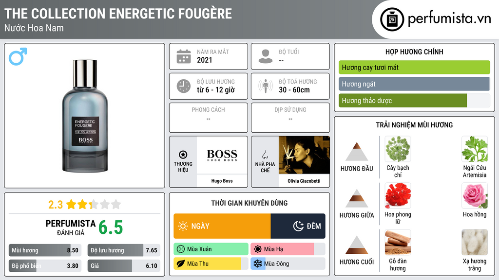 Thông tin chi tiết The Collection Energetic Fougère