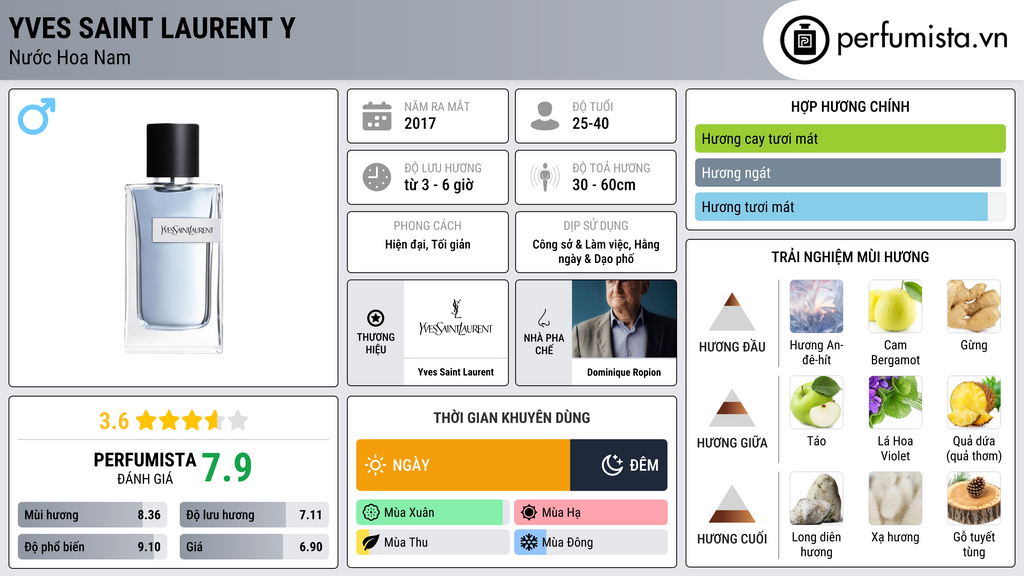 Thông tin chi tiết Yves Saint Laurent Y