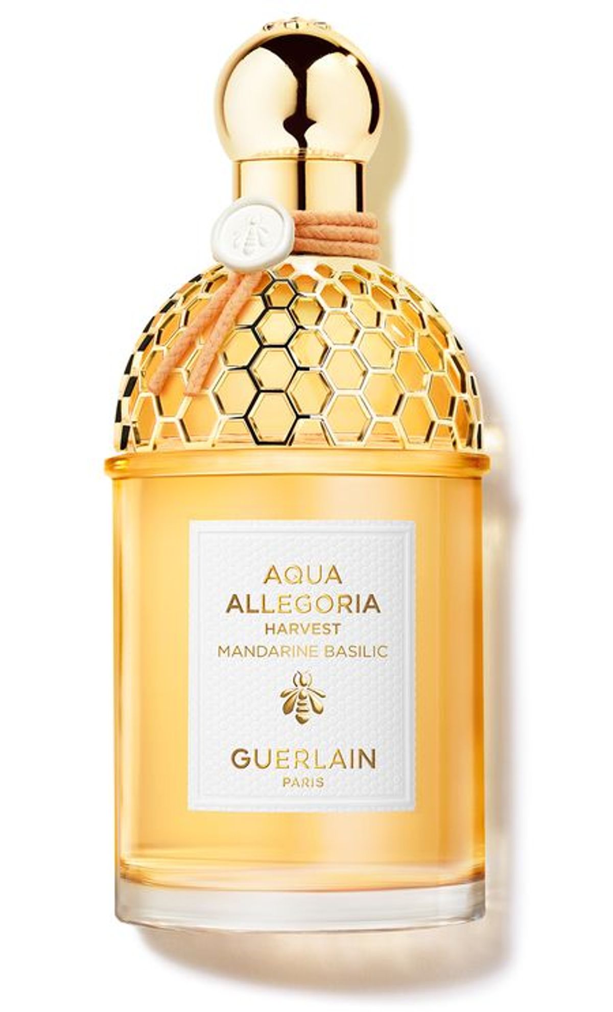 Mandarine Basilic Harvest