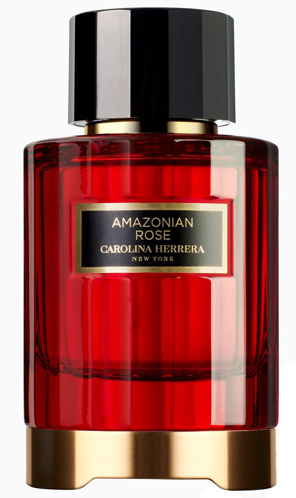 Amazonian Rose