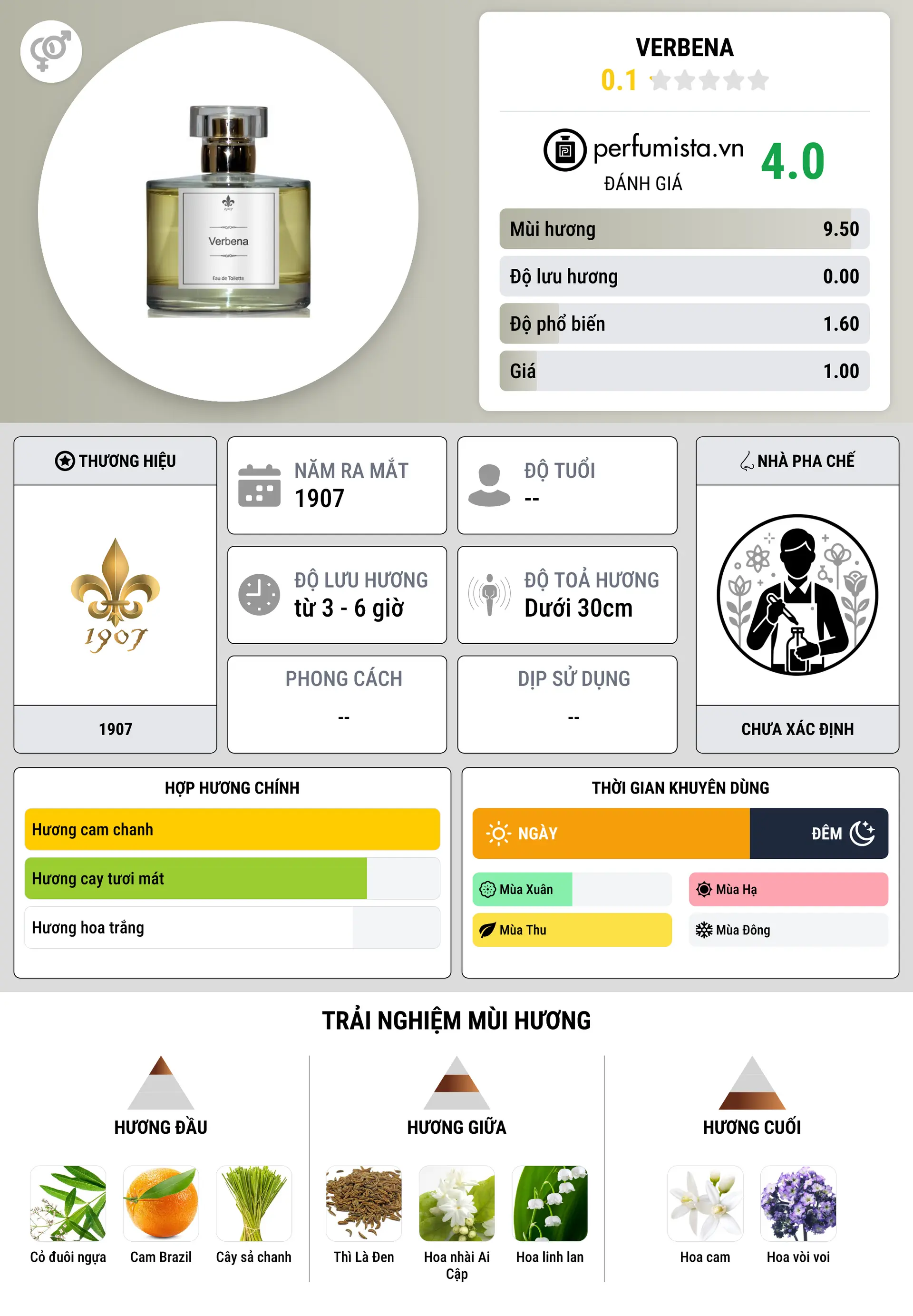 Thông tin chi tiết Verbena