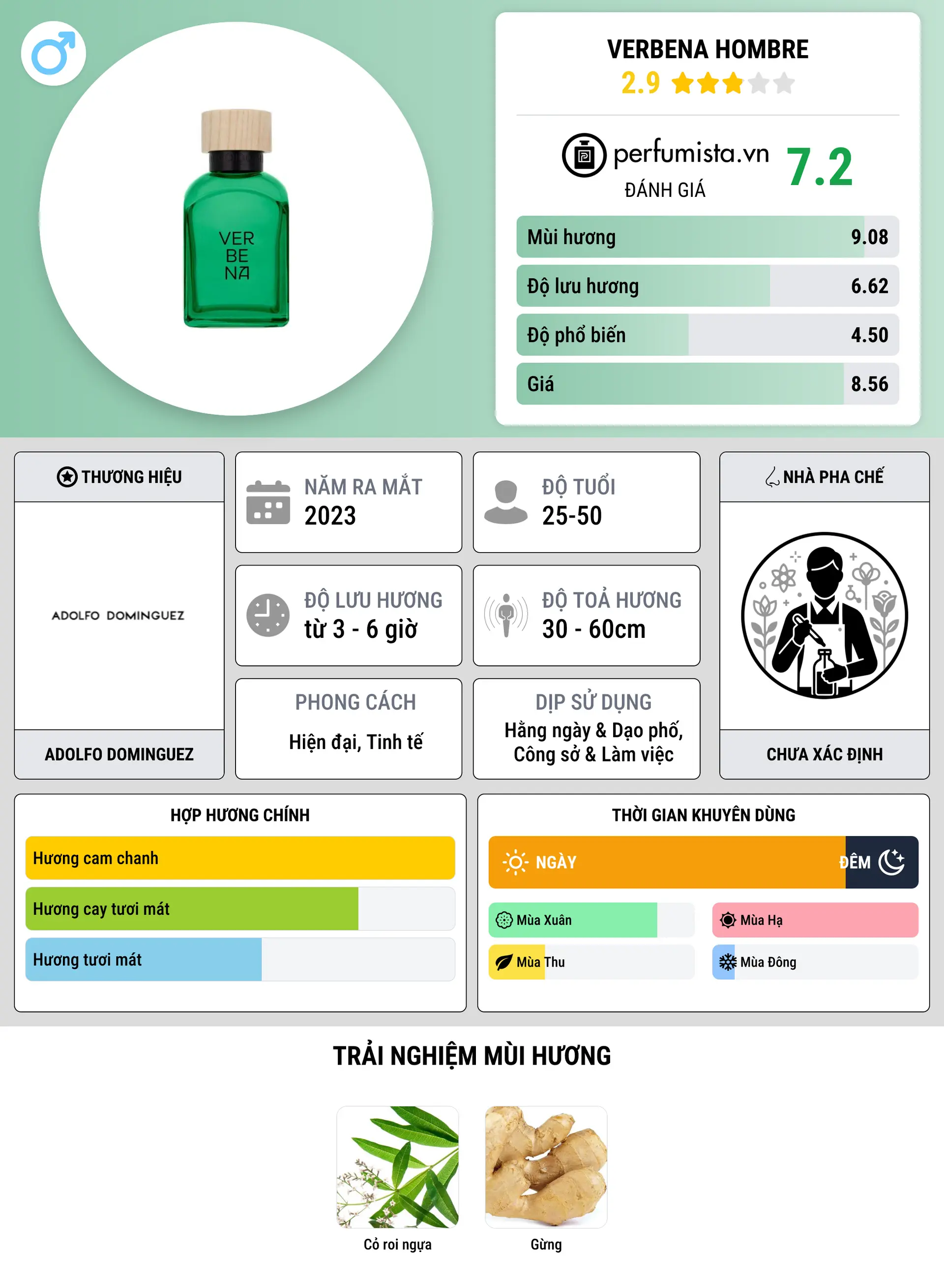 Thông tin chi tiết Verbena Hombre