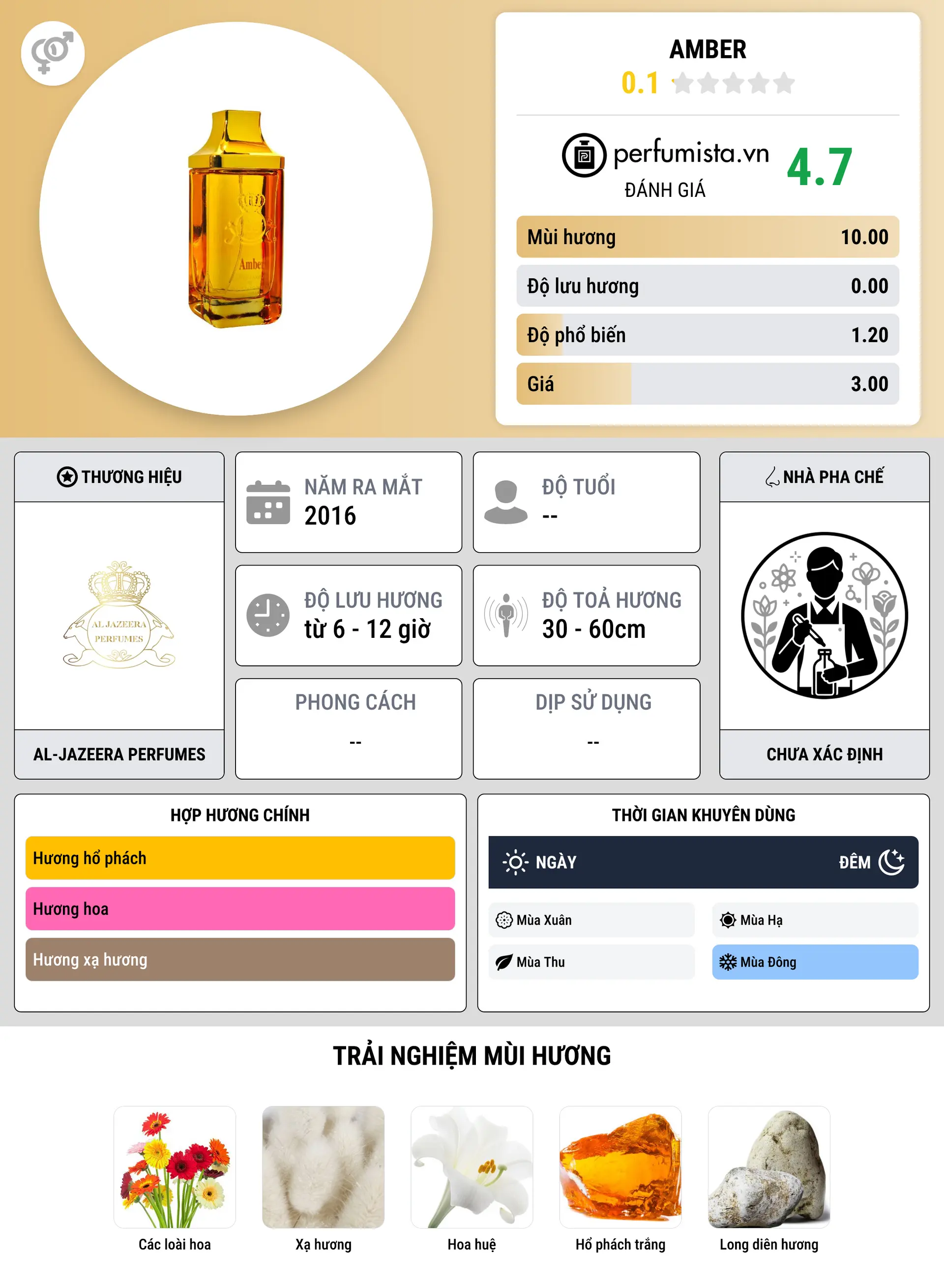 Thông tin chi tiết Amber