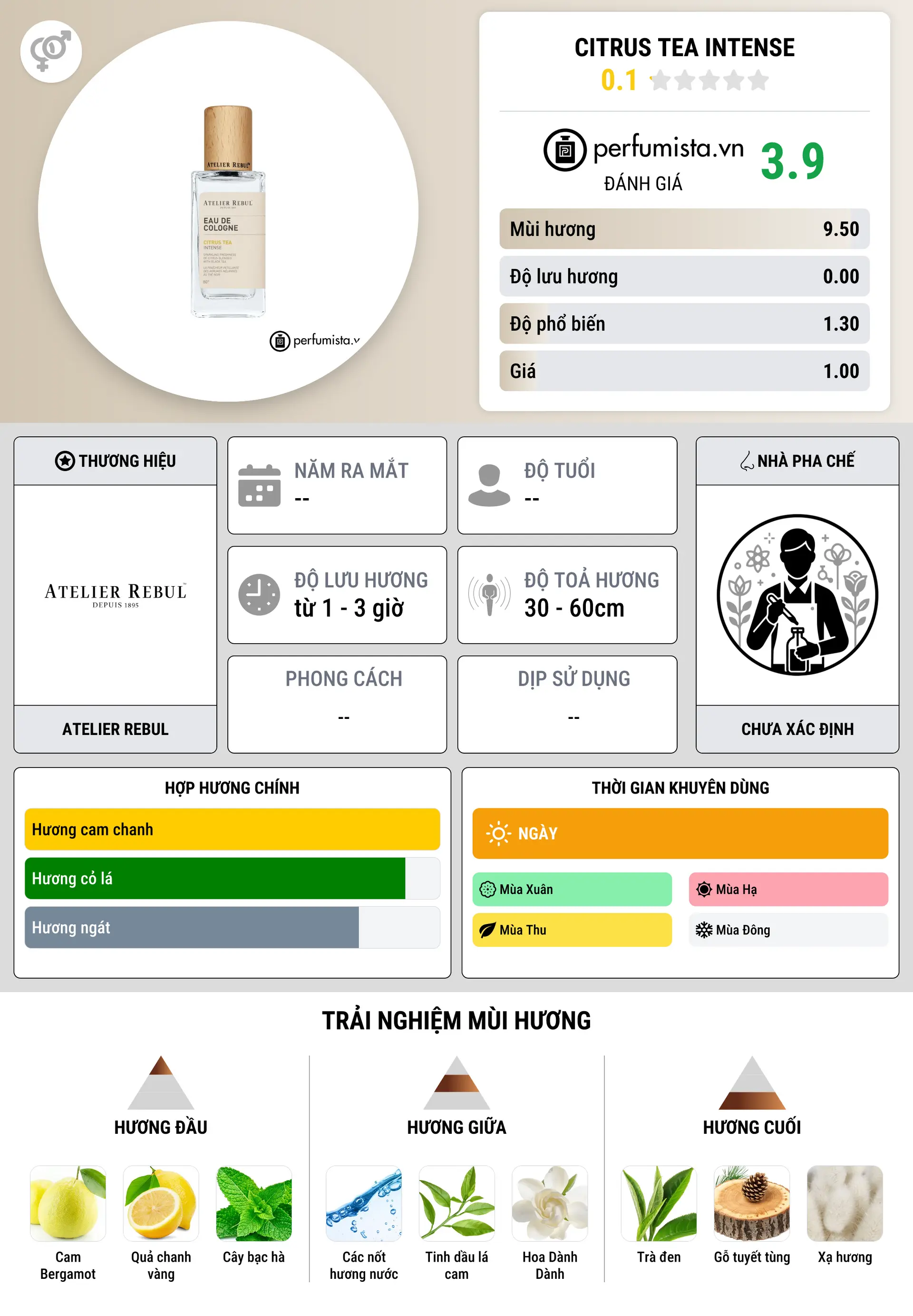 Thông tin chi tiết Citrus Tea Intense