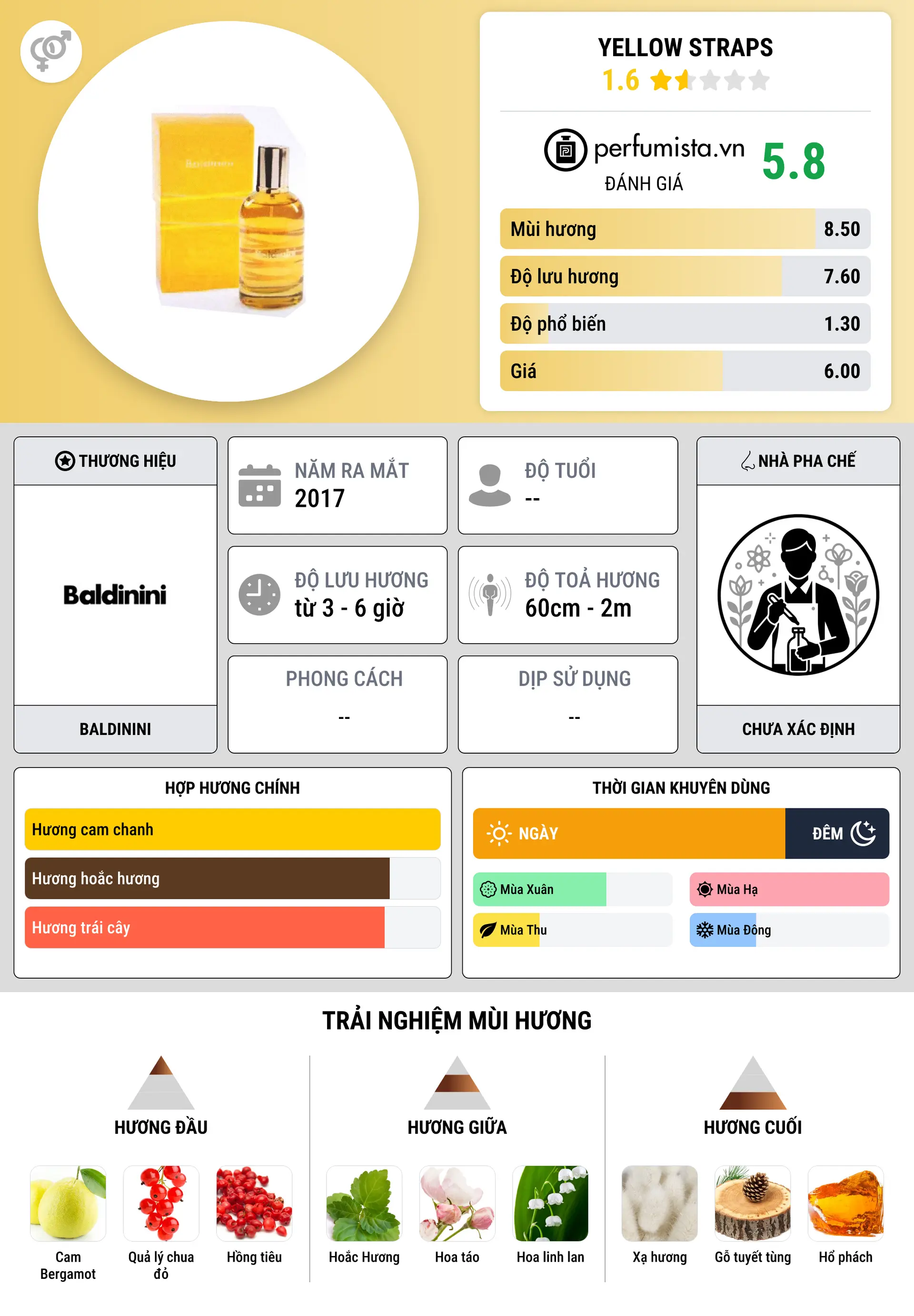 Thông tin chi tiết Yellow Straps