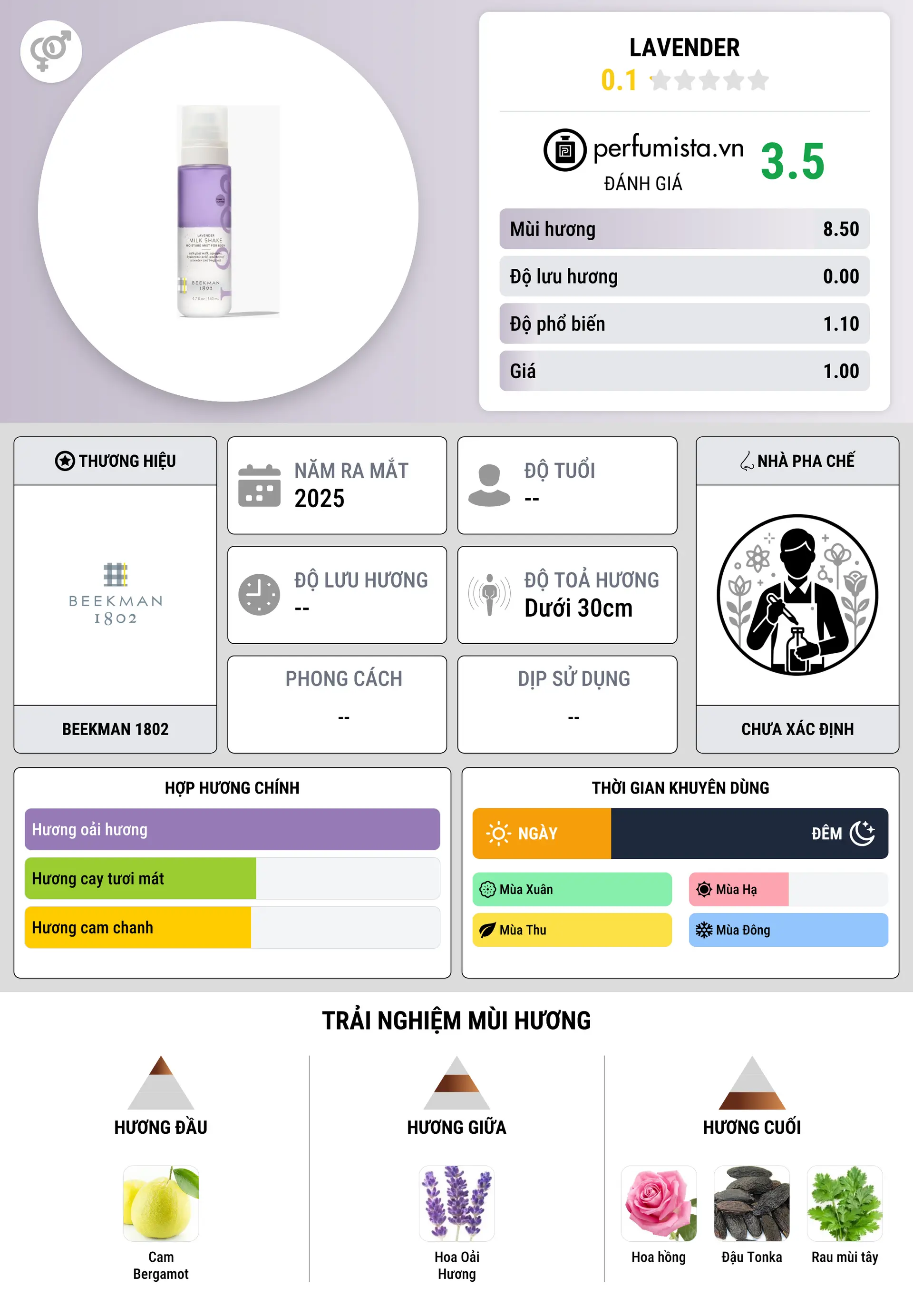 Thông tin chi tiết Lavender