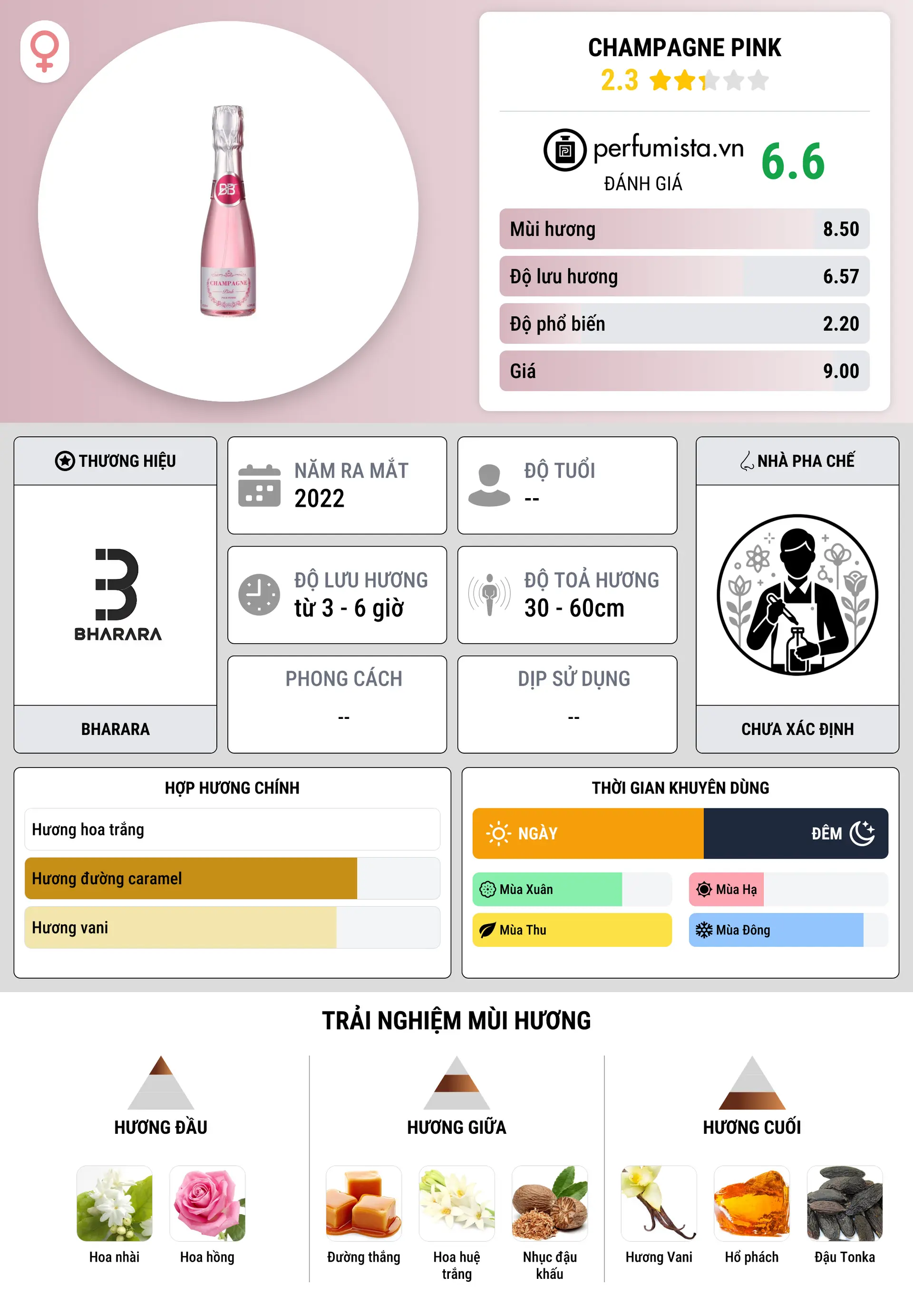 Thông tin chi tiết Champagne Pink
