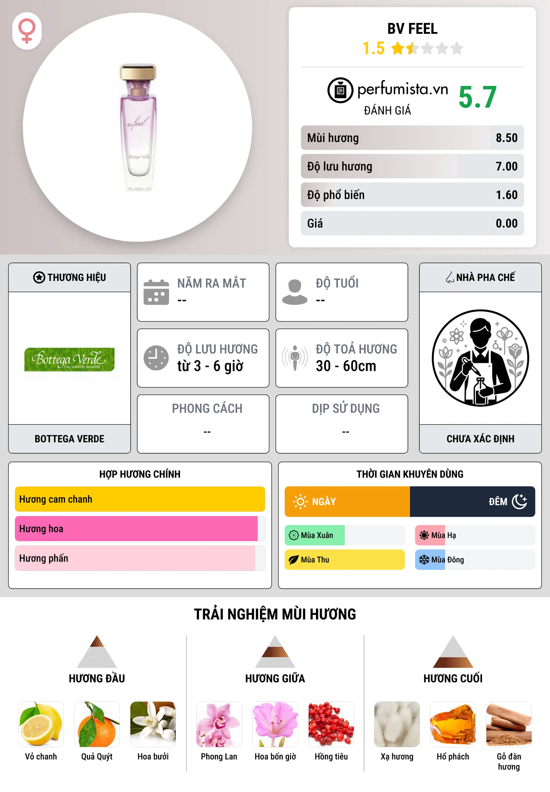 Thông tin chi tiết BV Feel