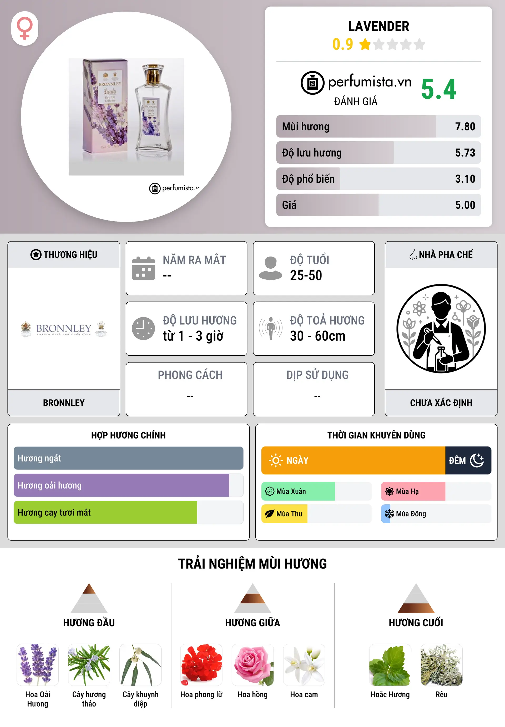 Thông tin chi tiết Lavender