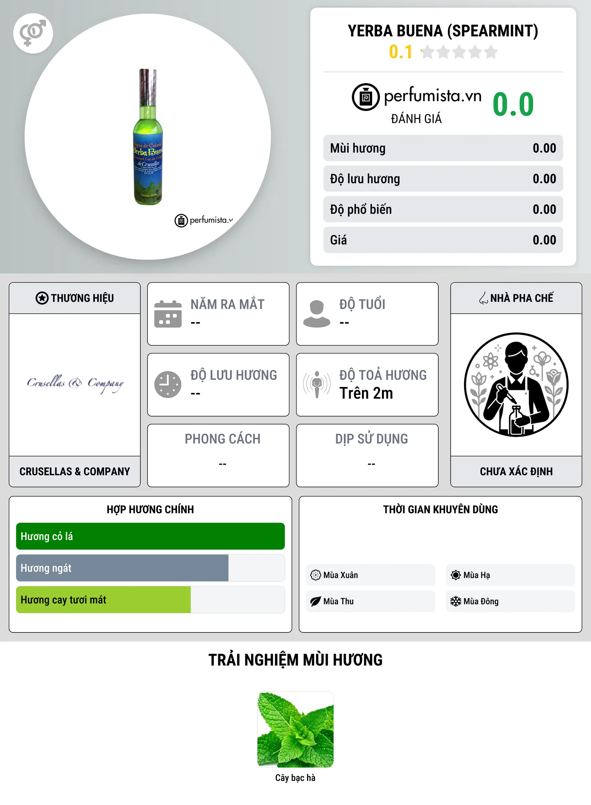 Thông tin chi tiết Yerba Buena (Spearmint)
