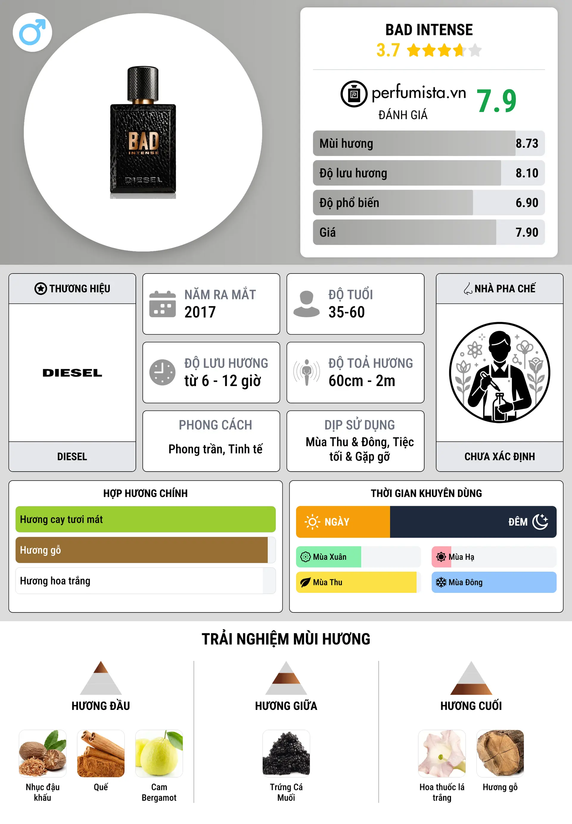 Thông tin chi tiết Bad Intense