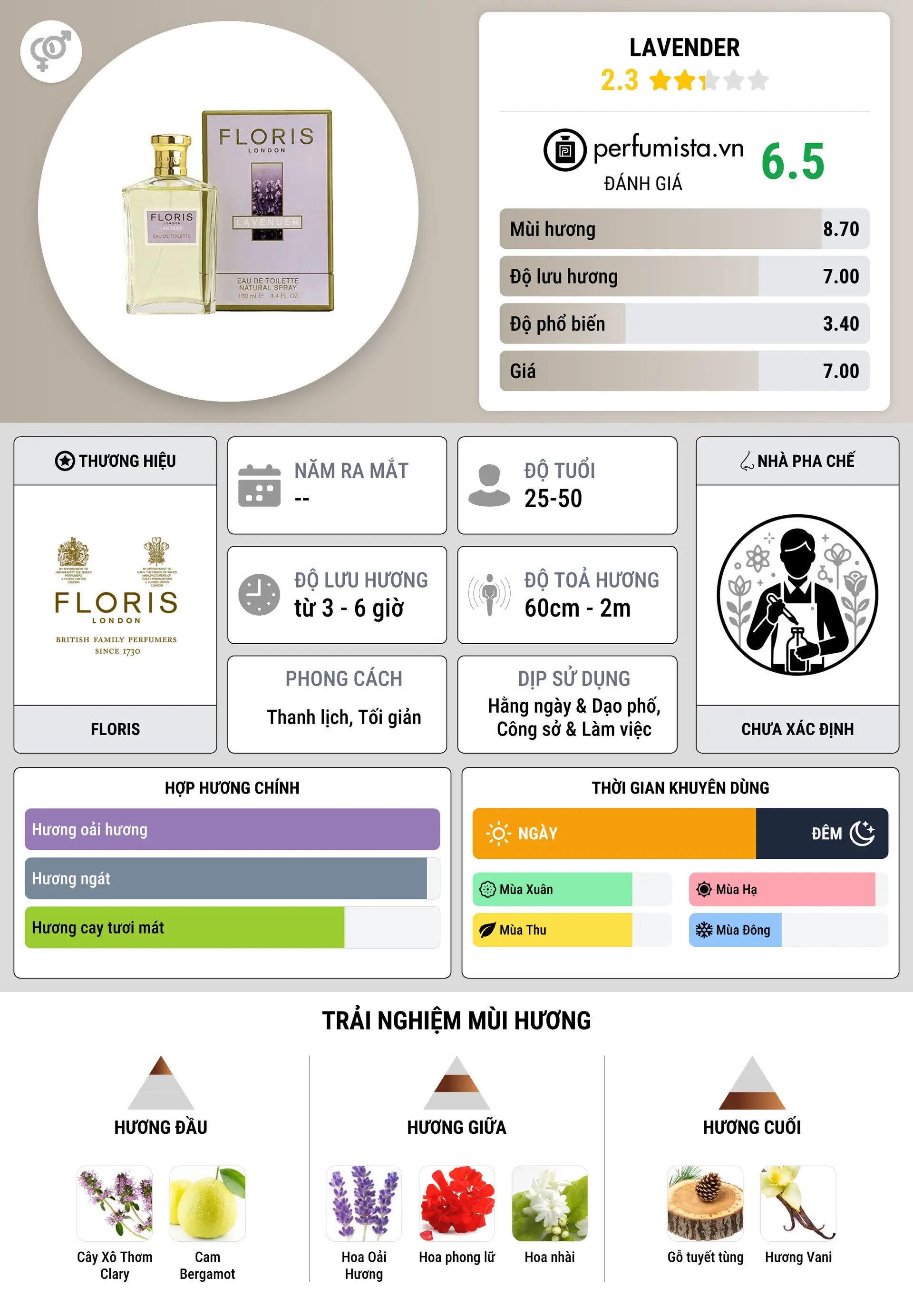 Thông tin chi tiết Lavender
