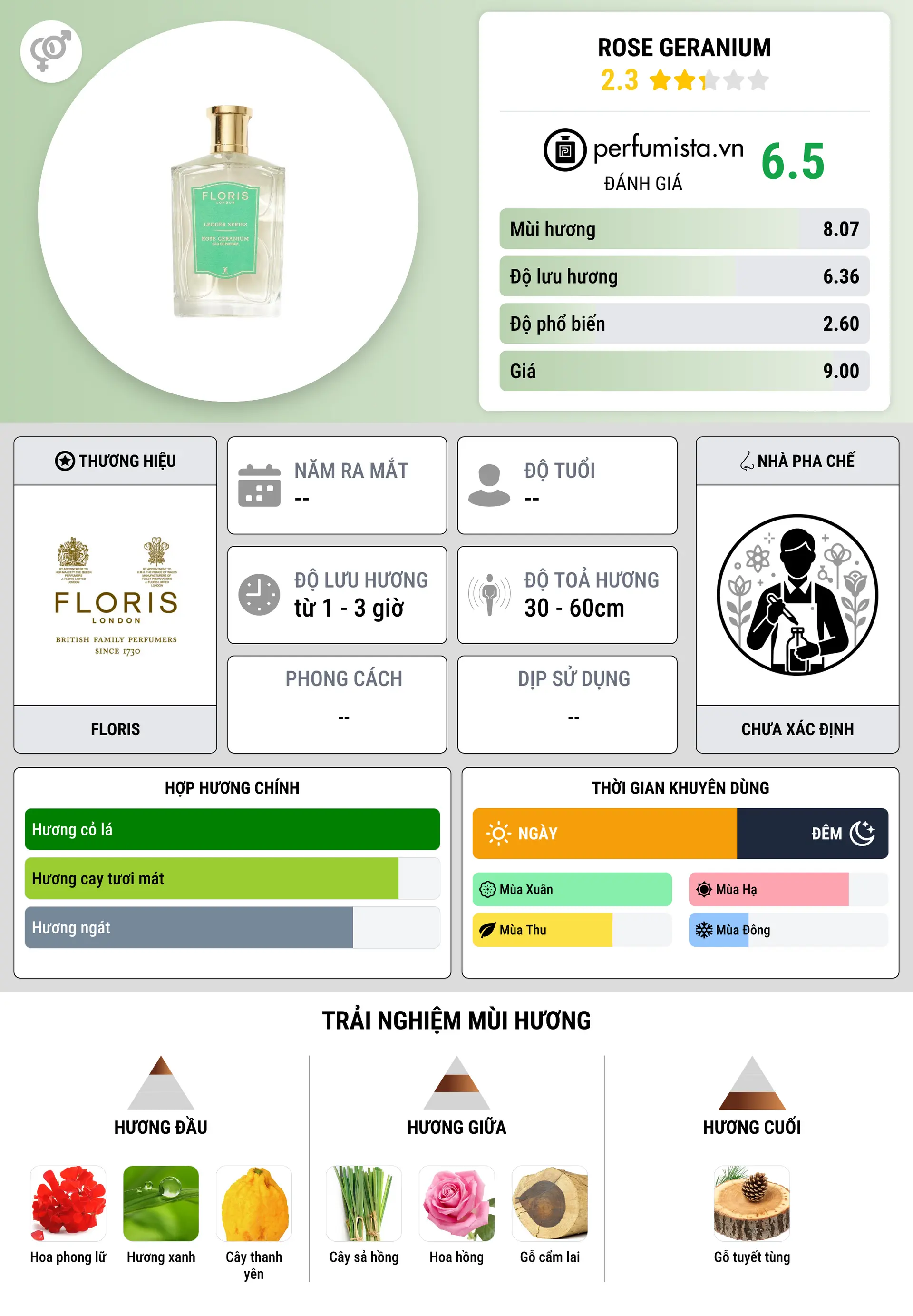 Thông tin chi tiết Rose Geranium