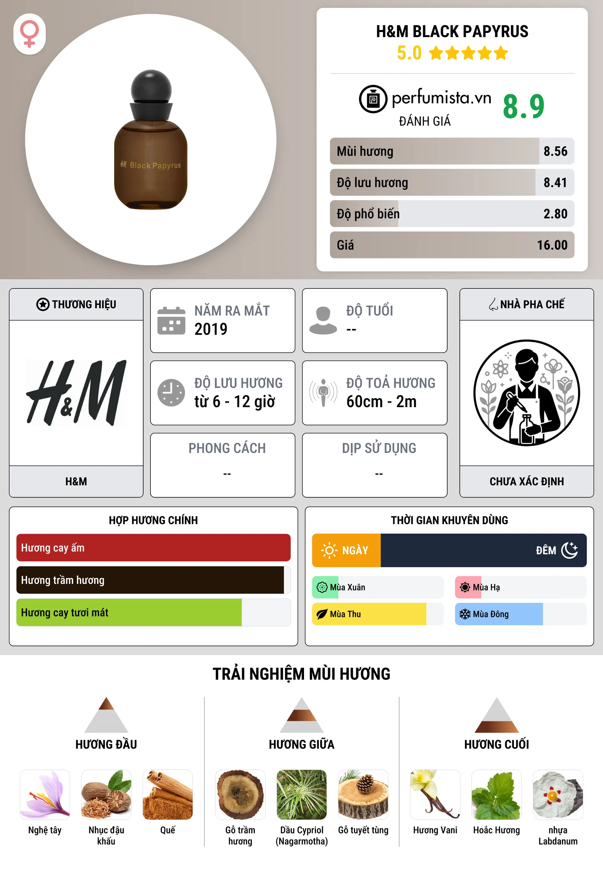 Thông tin chi tiết H&M Black Papyrus