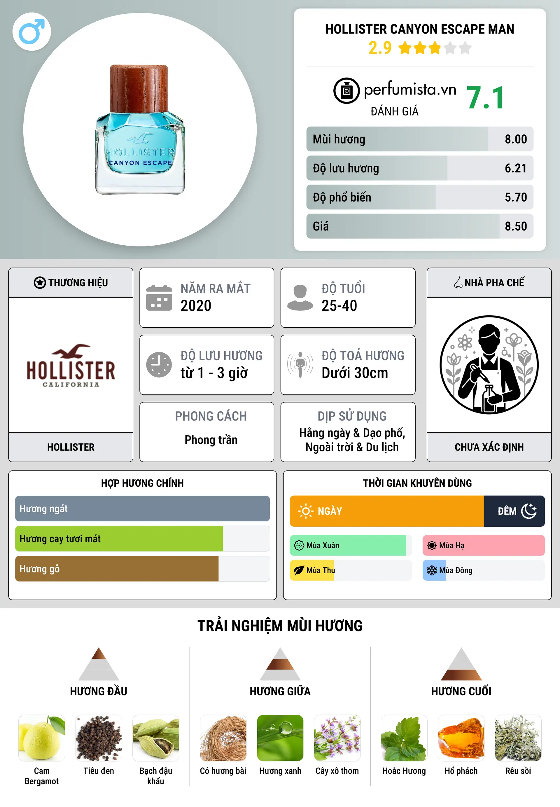 Thông tin chi tiết Hollister Canyon Escape Man