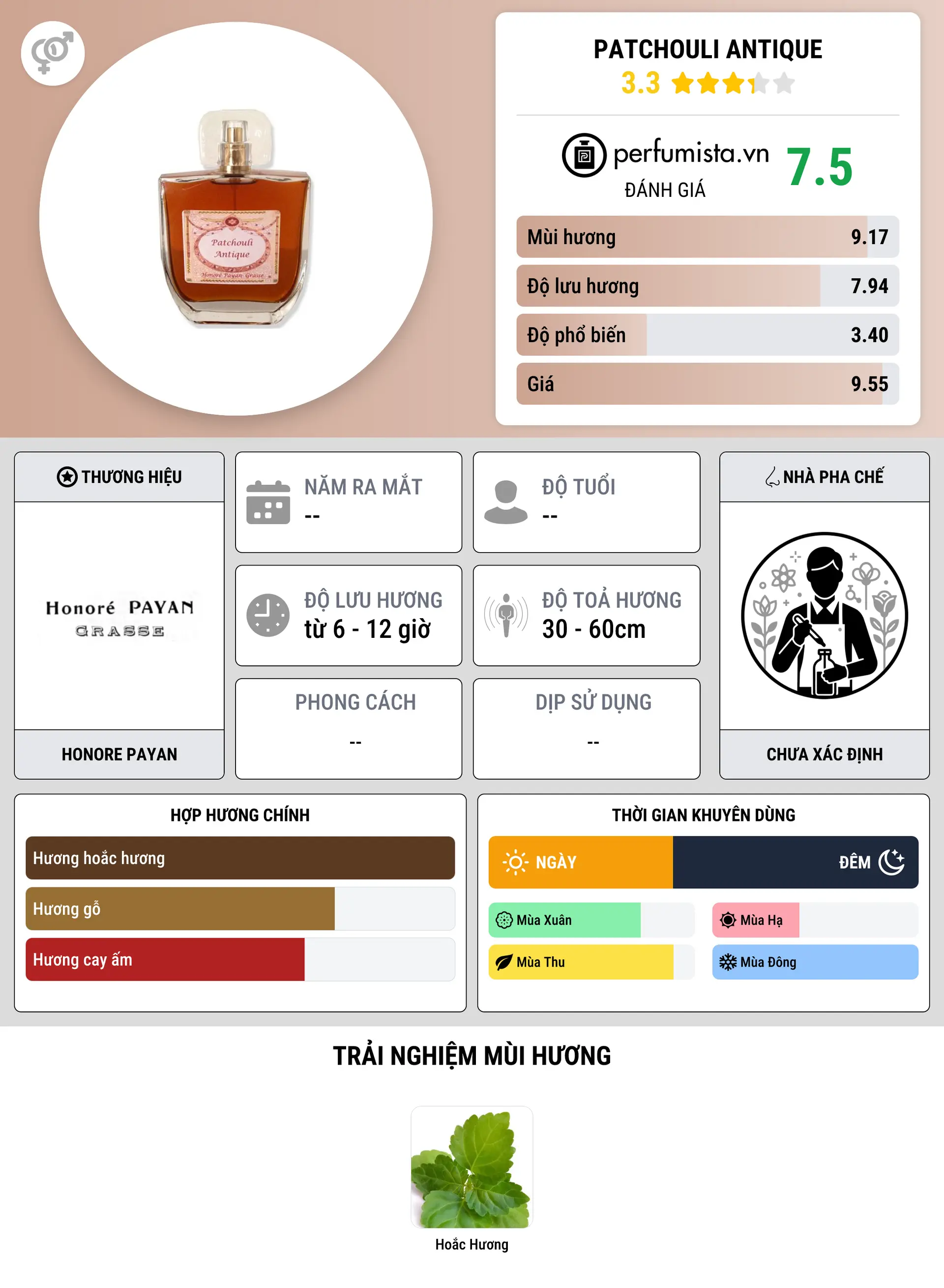 Thông tin chi tiết Patchouli Antique