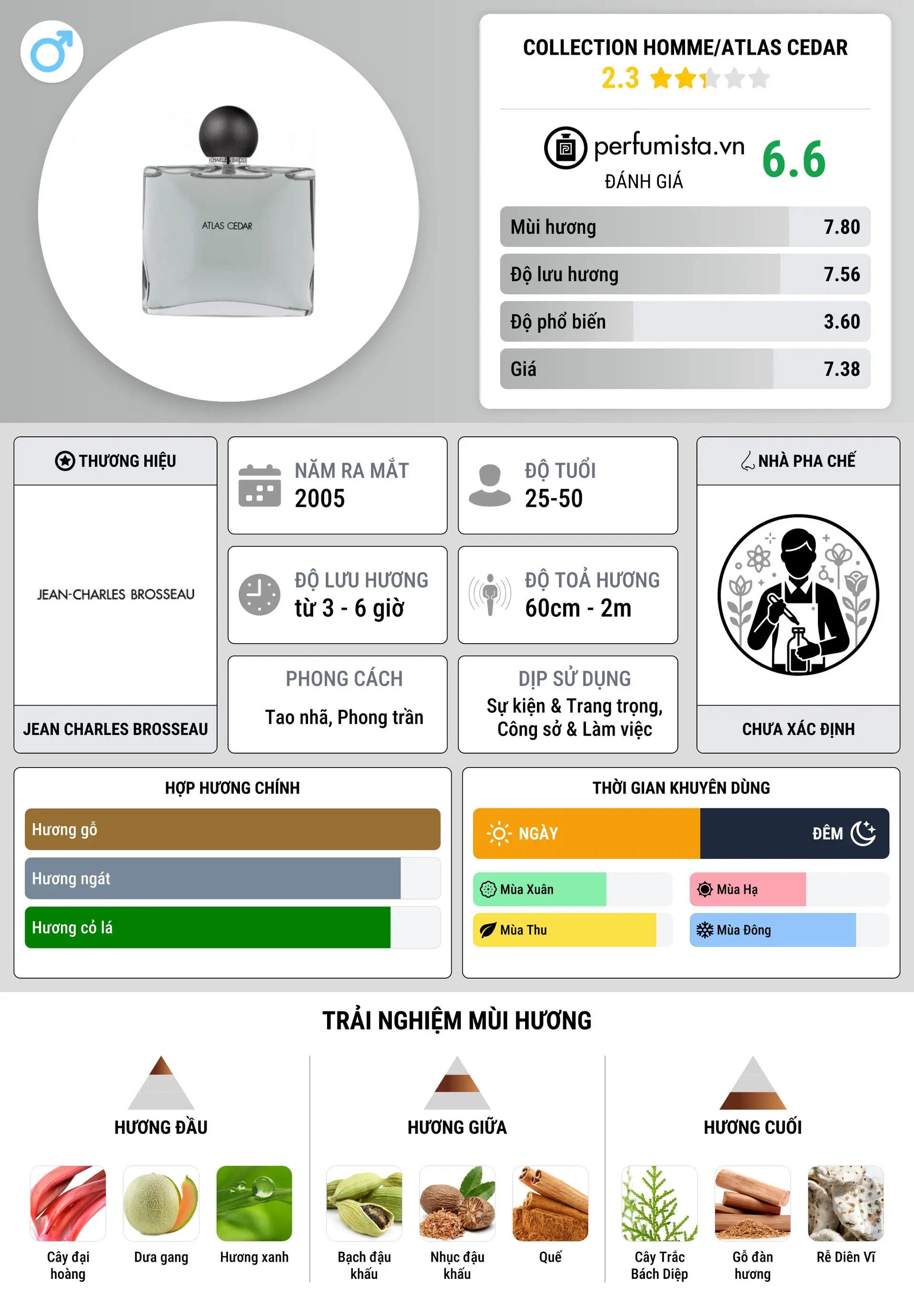 Thông tin chi tiết Collection Homme/Atlas Cedar