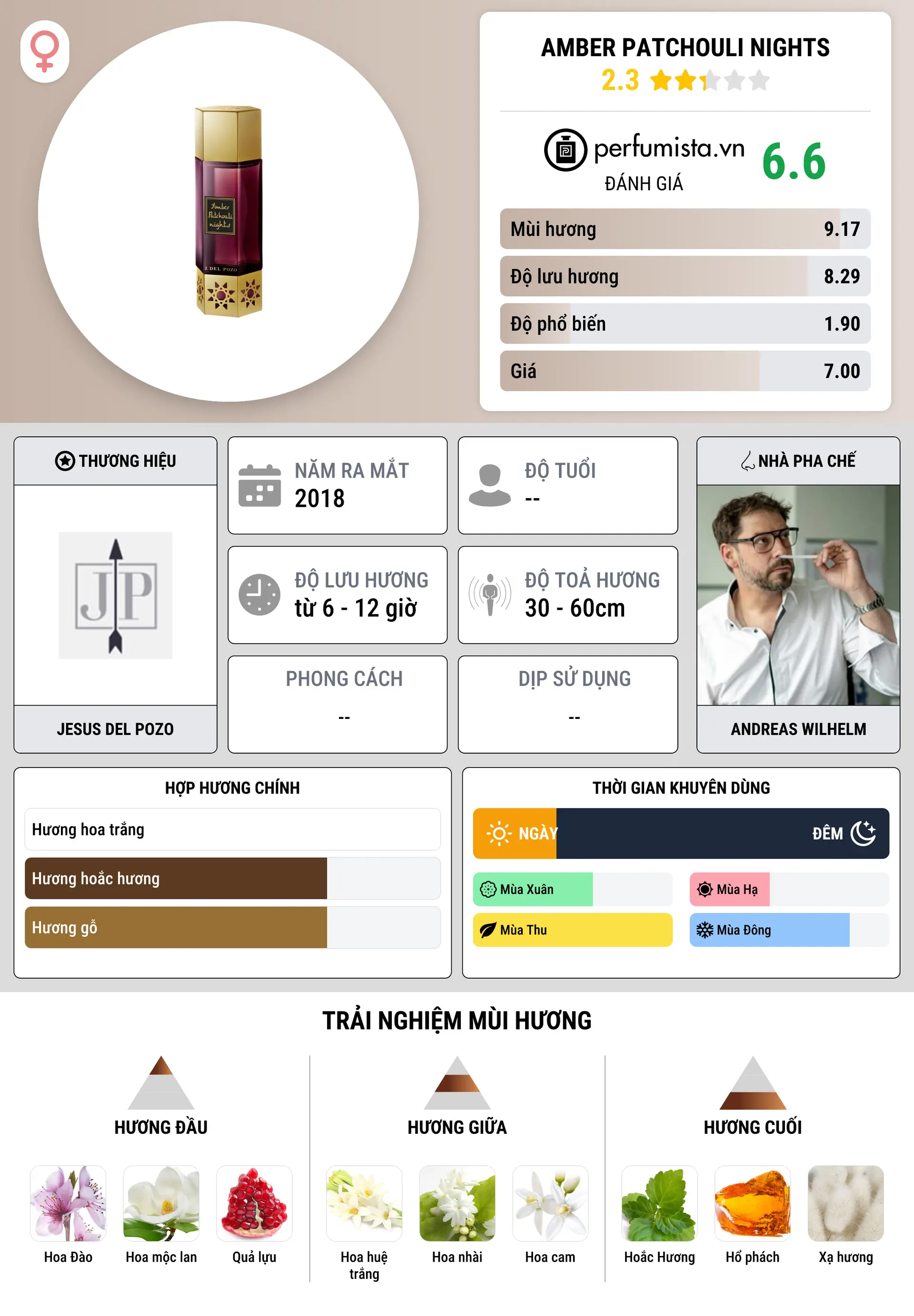 Thông tin chi tiết Amber Patchouli Nights