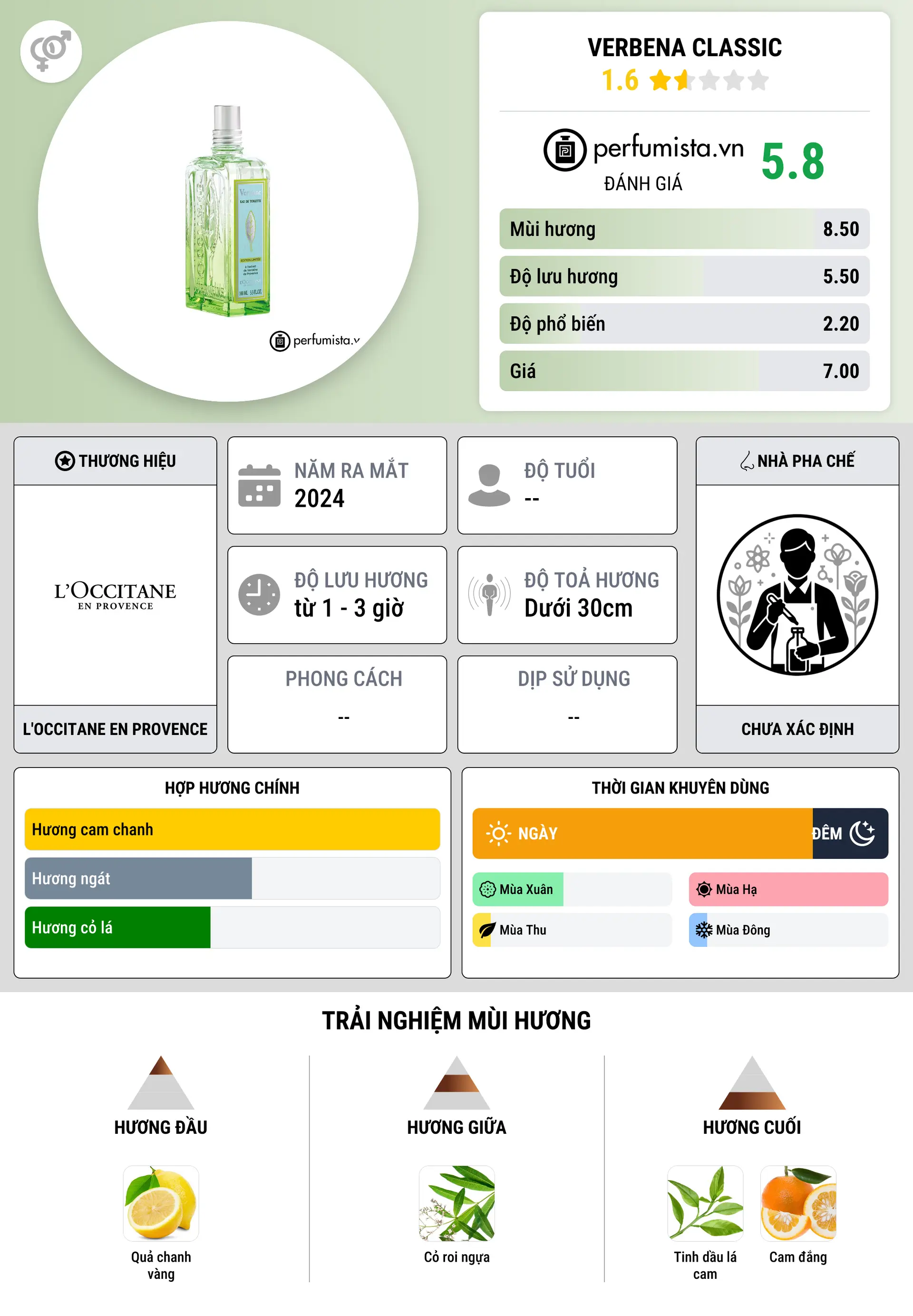 Thông tin chi tiết Verbena Classic