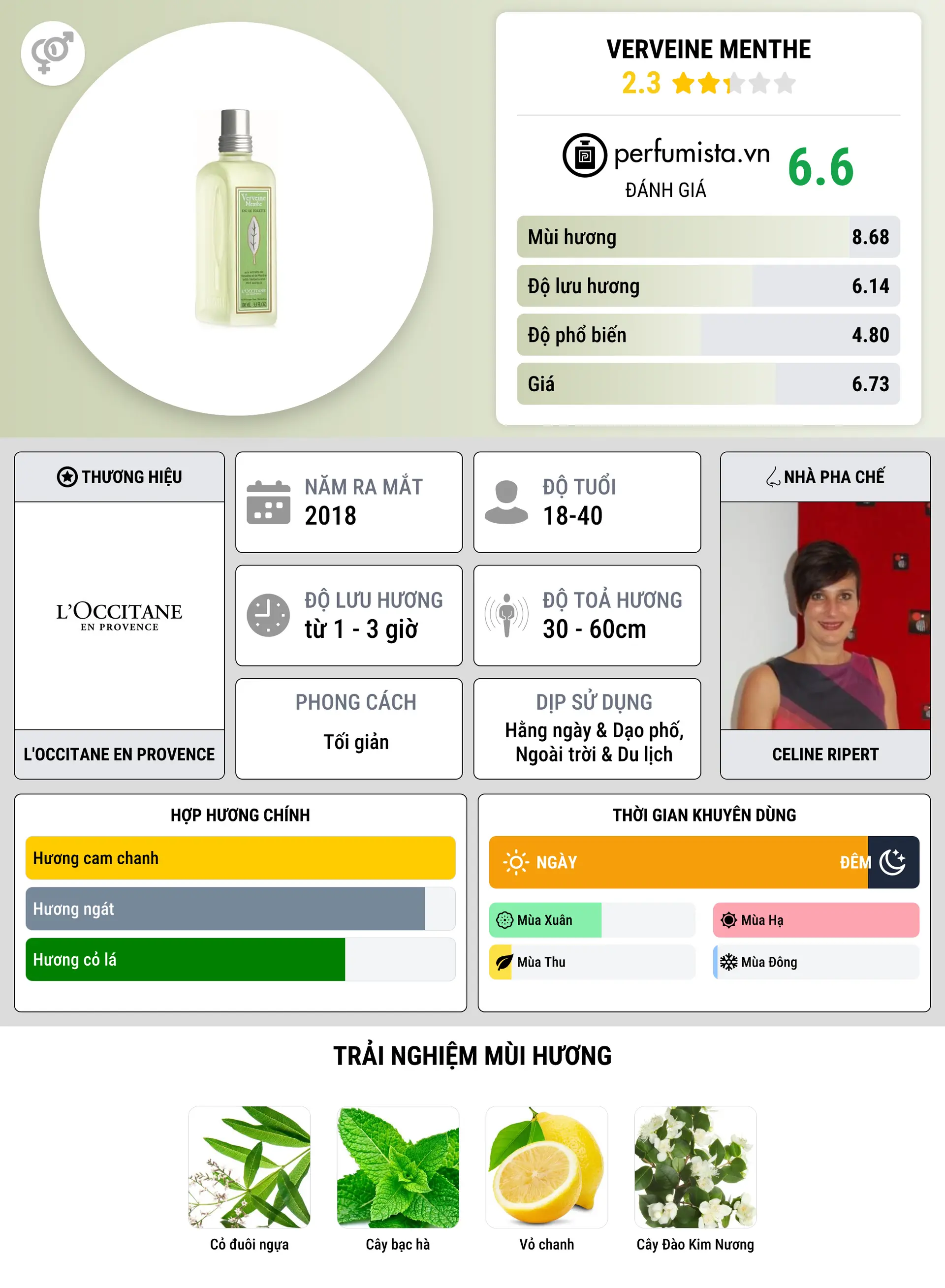 Thông tin chi tiết Verveine Menthe
