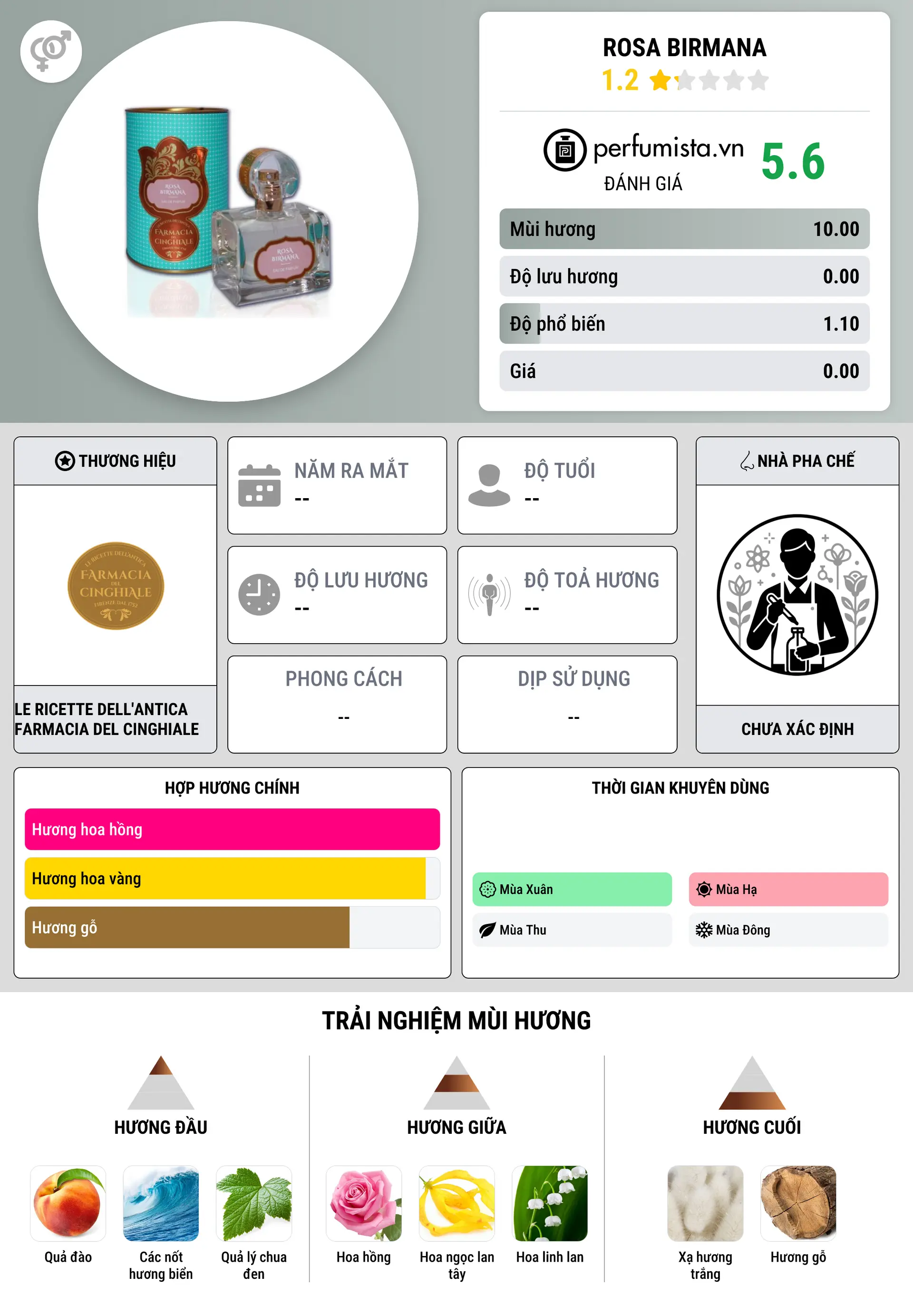 Thông tin chi tiết Rosa Birmana