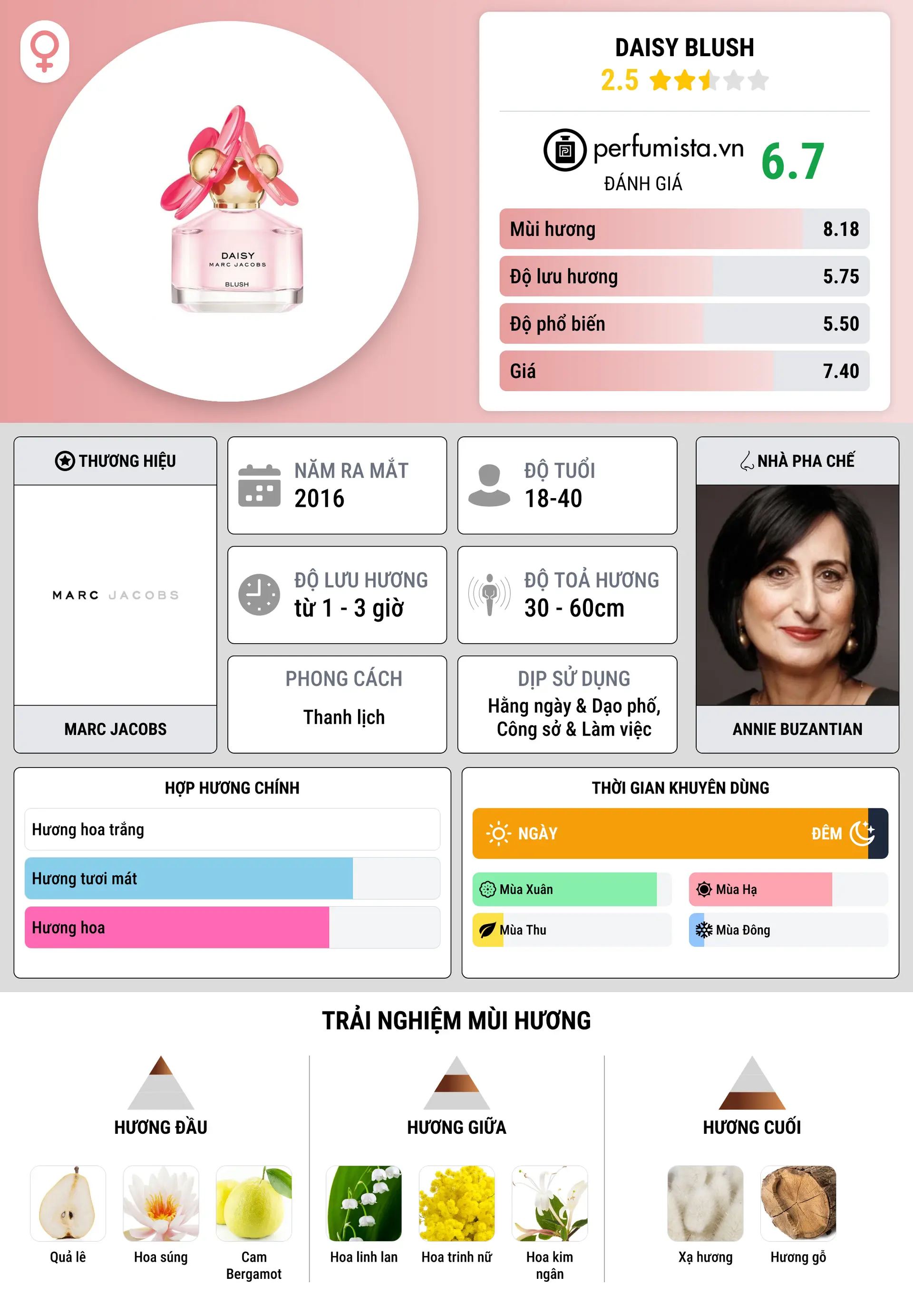 Thông tin chi tiết Daisy Blush
