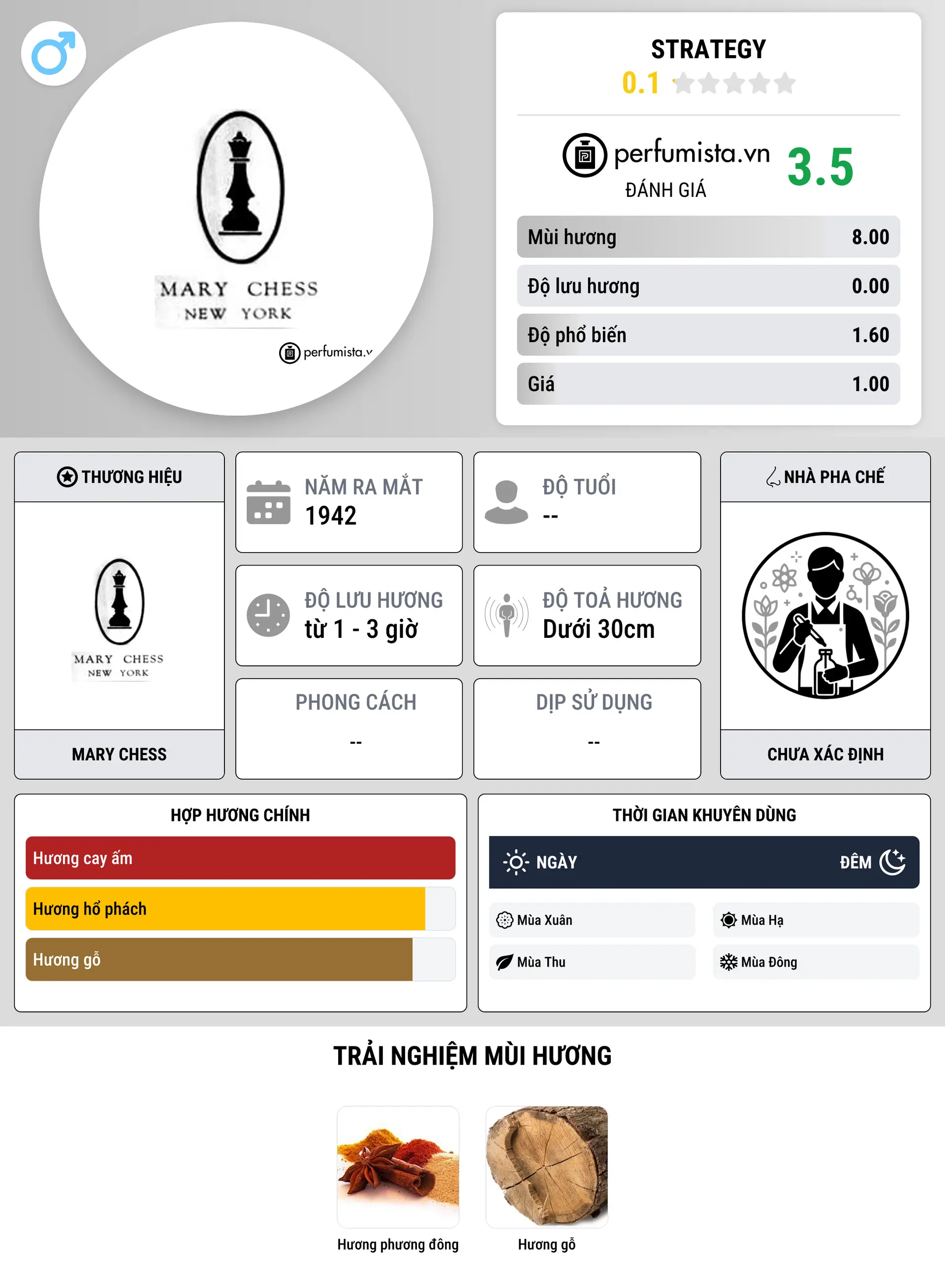 Thông tin chi tiết Strategy