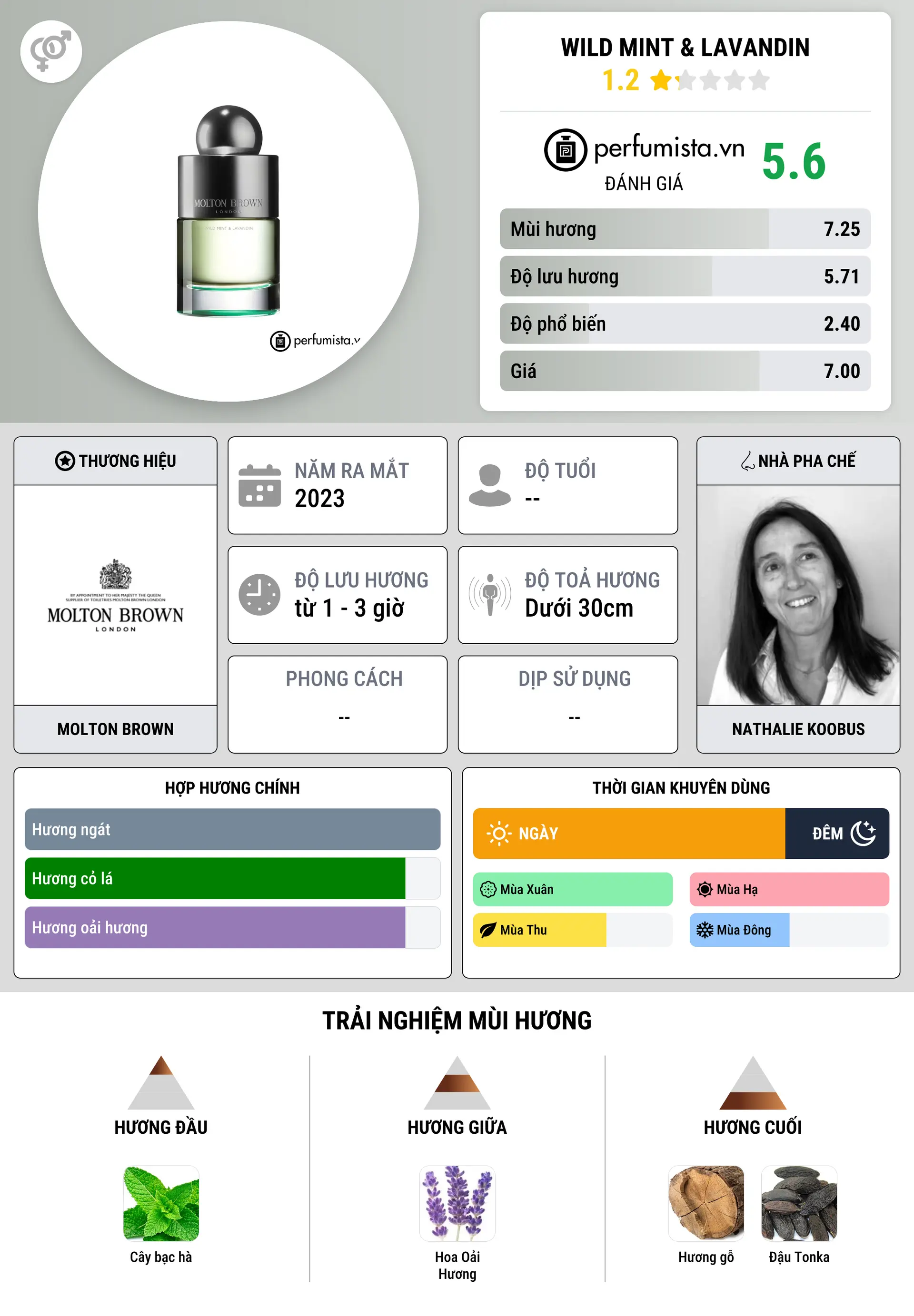 Thông tin chi tiết Wild Mint & Lavandin