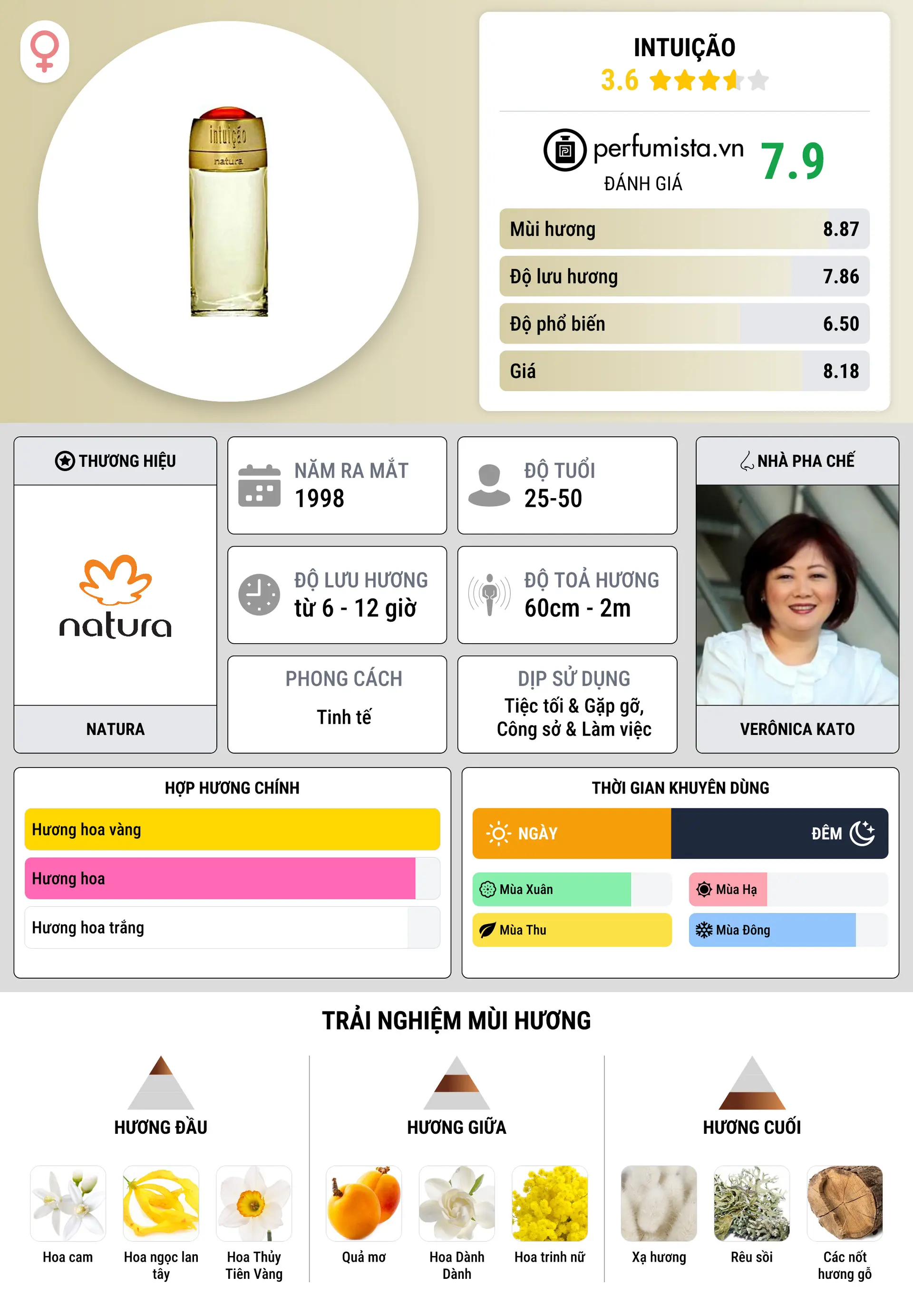 Thông tin chi tiết Intuição