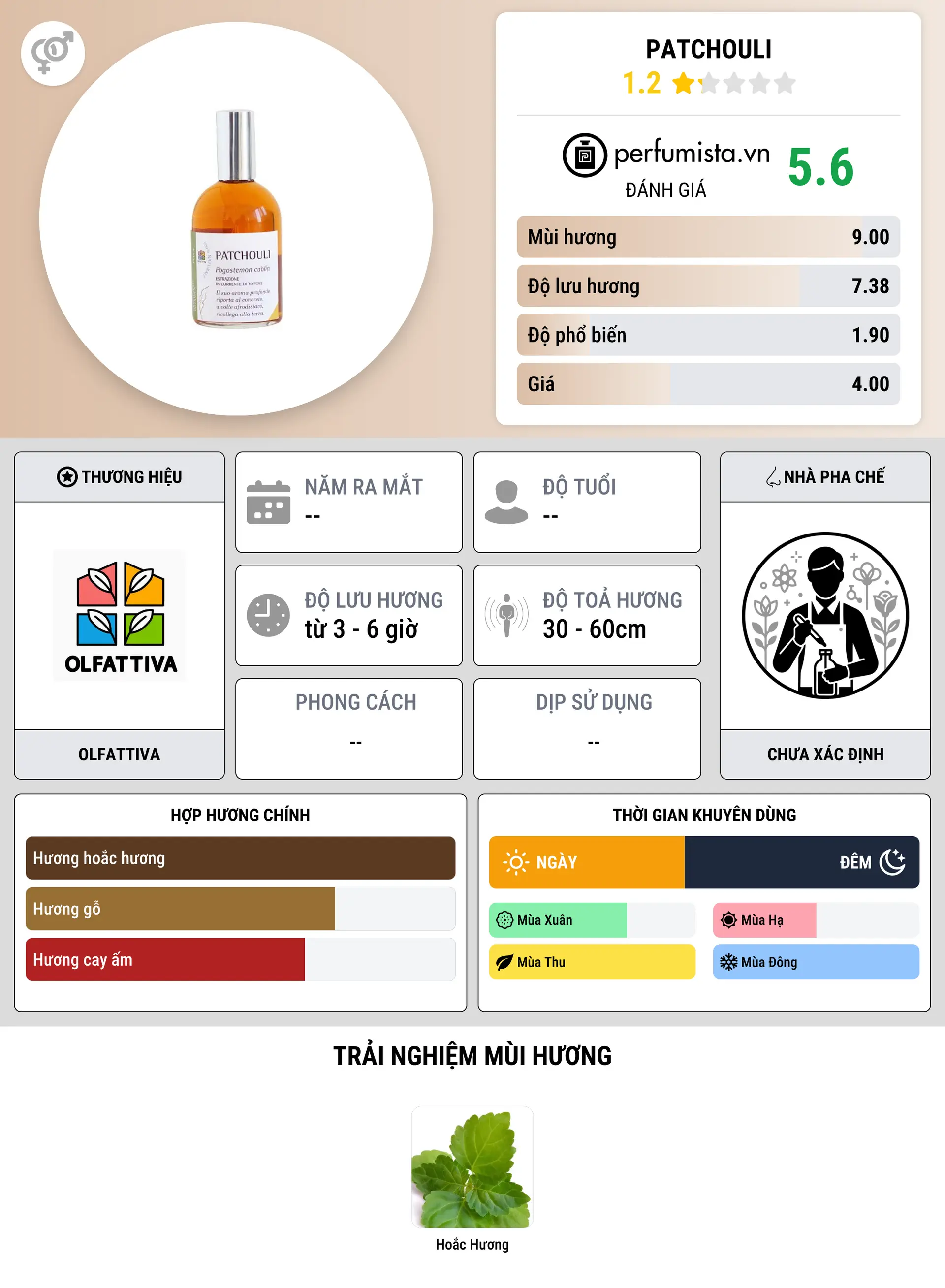 Thông tin chi tiết Patchouli