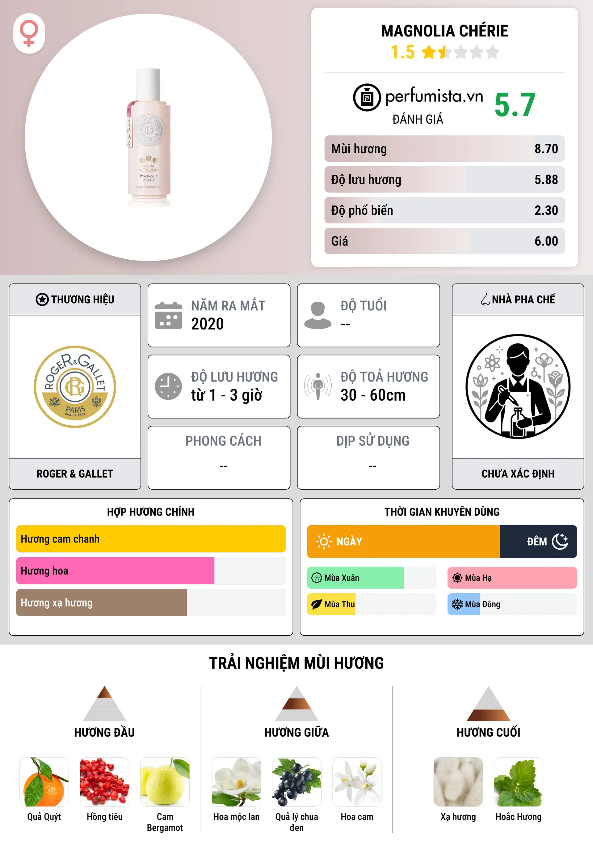Thông tin chi tiết Magnolia Chérie