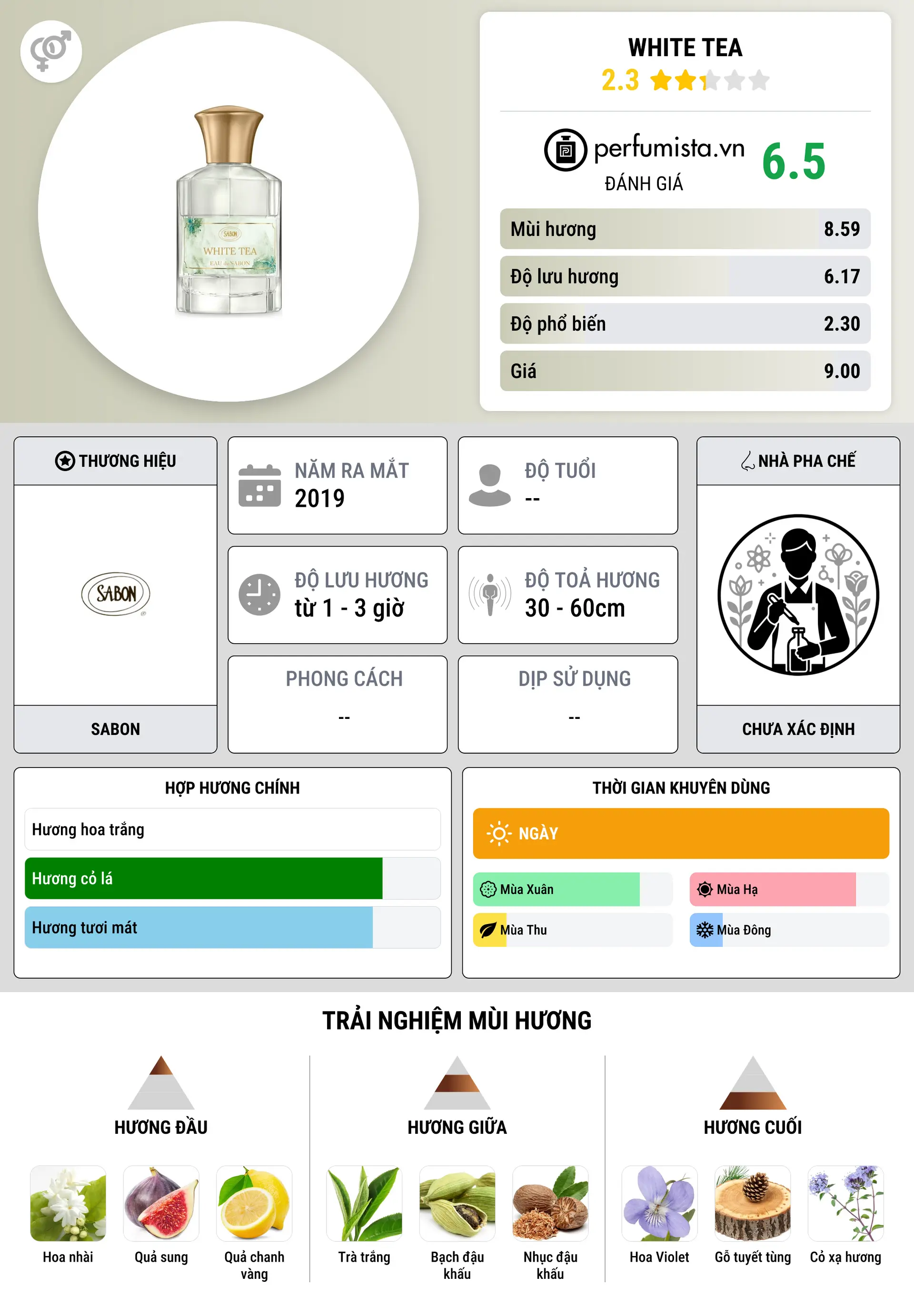Thông tin chi tiết White Tea