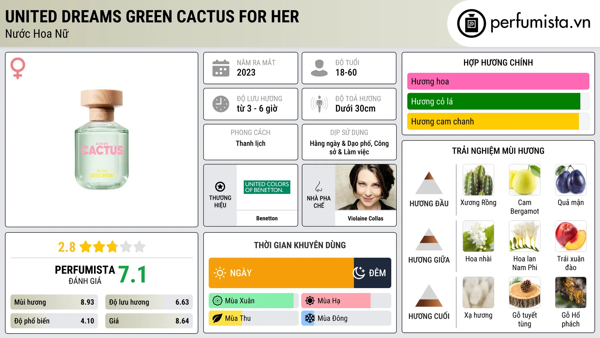 Thông tin chi tiết United Dreams Green Cactus For Her