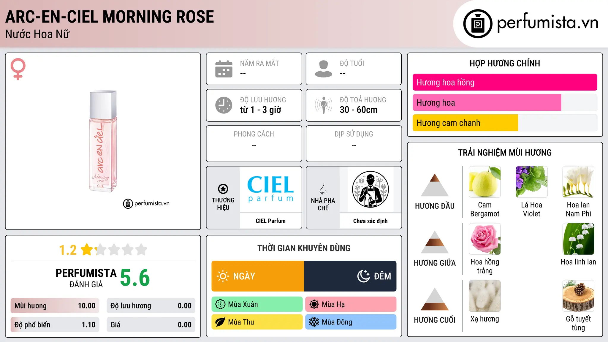Thông tin chi tiết Arc-en-Ciel Morning Rose