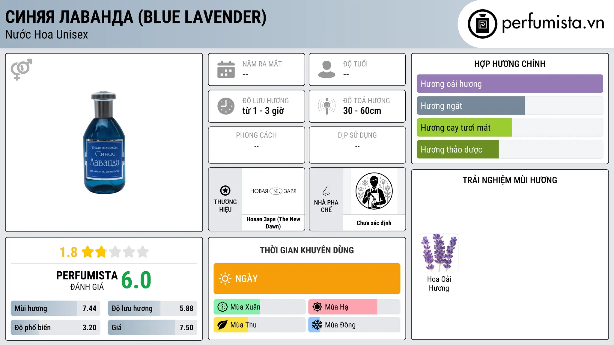 Thông tin chi tiết Синяя лаванда (Blue Lavender)