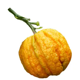 Cam đắng