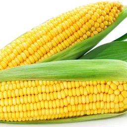 Ngô
