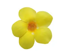 Hoa Chuông Vàng