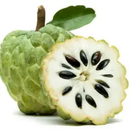 Quả của Bá tước