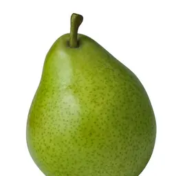 Lê Anjou xanh
