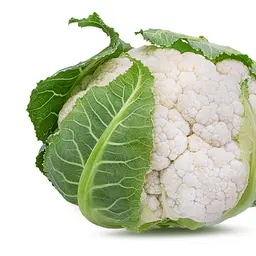 Súp lơ
