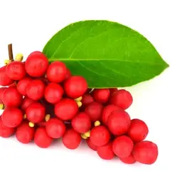 Mộc Lan Trung Quốc Mộc Lan Trung Quốc
