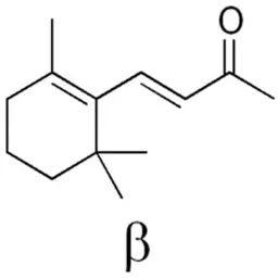Hợp chất hương hoa Violet