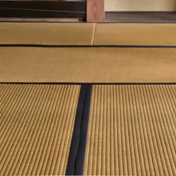 Chiếu tatami