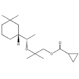 Xạ hương