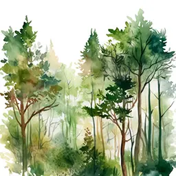Hương Chypre