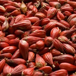 Tiêu Guinea