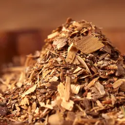 Cây Xá Xị