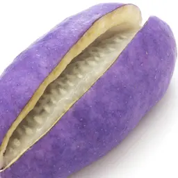 Quả Akebia