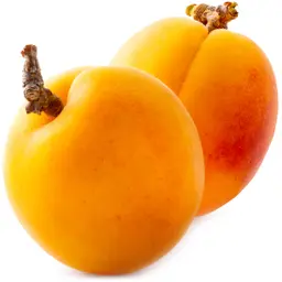 Quả mơ